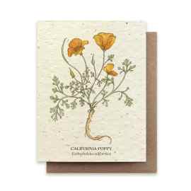 This California Poppy art plantable greeting card is made with love by The Herbal Oracle! Shop more unique gift ideas today with Spots Initiatives, the best way to support creators.