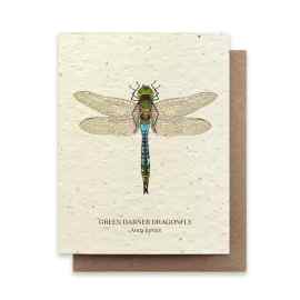 This Green Darner Dragonfly Plantable Wildflower Card is made with love by The Herbal Oracle! Shop more unique gift ideas today with Spots Initiatives, the best way to support creators.