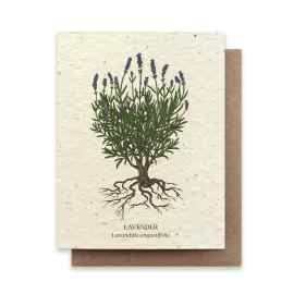 This Lavender watercolor plantable wildflower card is made with love by The Herbal Oracle! Shop more unique gift ideas today with Spots Initiatives, the best way to support creators.