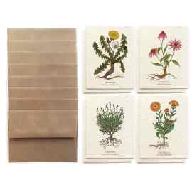 This Medicinal Plants Card Set - Plantable Wildflower Paper is made with love by The Herbal Oracle! Shop more unique gift ideas today with Spots Initiatives, the best way to support creators.