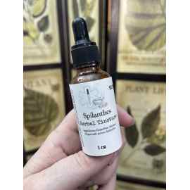 This Spilanthes Extract (Herbal Tincture) - 1 oz is made with love by The Herbal Oracle! Shop more unique gift ideas today with Spots Initiatives, the best way to support creators.